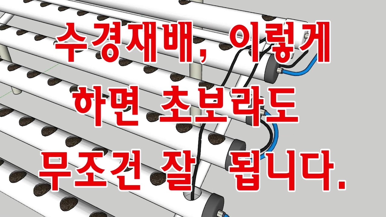 수경재배, 이렇게하면 초보자도 무조건 잘 됩니다.