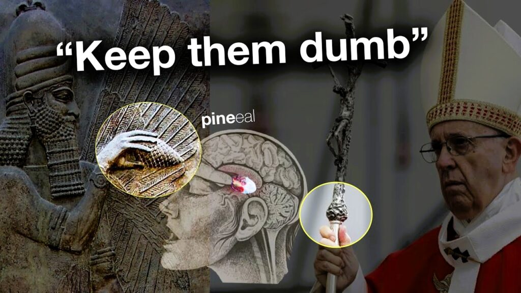 그것들을 석회화하라! 당신의 제3의 눈을 파괴하고 정신을 조종하는 바티칸의 무시무시한 비밀 “그들을 석회화하라!” (이 영상은 꽤 무섭습니다)