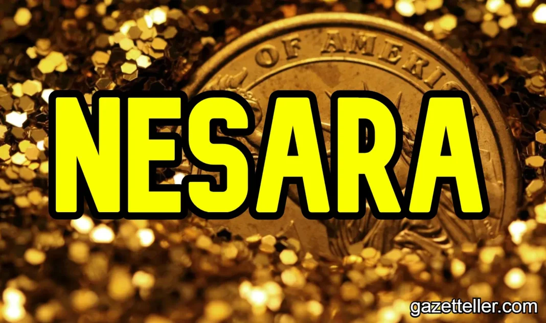 므네사라-1-1068x632